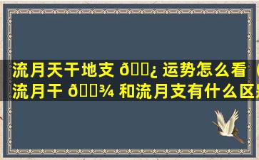 流月天干地支 🌿 运势怎么看（流月干 🌾 和流月支有什么区别）